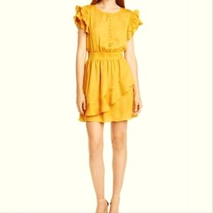 Anthropologie Dolan ruffle dress